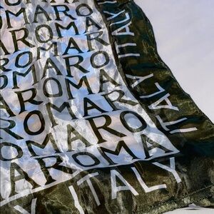 Roma Italy Scarf Green /White Sheer‎ Excellent